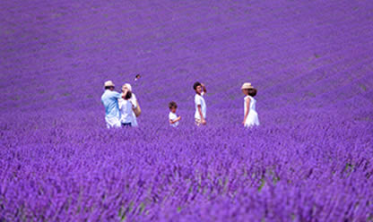 Trip to CLASSICAL SPAIN WITH PARIS GO 2026 in English | Travel agency Festival