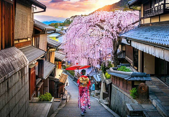 Photo from the trip to japon in English 2026-2027